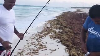 Playa del Carmen, выход без лодки — рыбалка по волне и свалам