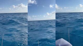 Playa del Carmen морская рыбалка в Мексике у бровок и бон