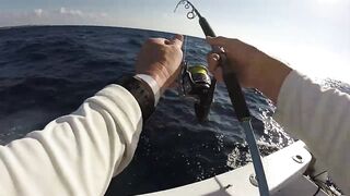 Зимний Grand Slam: морская рыбалка в Playa del Carmen с берега