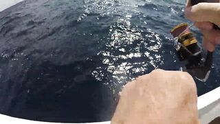 Зимний Grand Slam: морская рыбалка в Playa del Carmen с берега