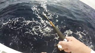 Зимний Grand Slam: морская рыбалка в Playa del Carmen с берега