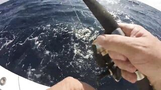 Зимний Grand Slam: морская рыбалка в Playa del Carmen с берега