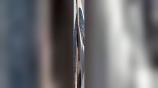 Зимний Grand Slam: морская рыбалка в Playa del Carmen с берега