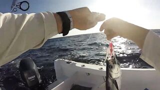 Зимний Grand Slam: морская рыбалка в Playa del Carmen с берега