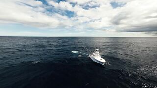 Los Sueños Herradura - морская рыбалка на чартере первый выезд сезона