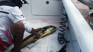 Los Sueños Herradura - морская рыбалка на чартере первый выезд сезона