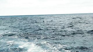 Los Sueños Herradura - морская рыбалка на чартере первый выезд сезона