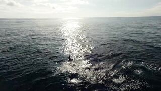 Los Sueños Herradura - морская рыбалка на чартере первый выезд сезона