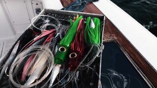 Los Sueños Herradura - морская рыбалка на чартере первый выезд сезона