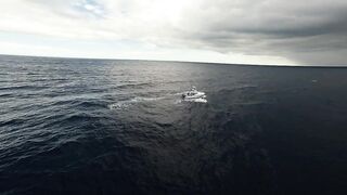 Los Sueños Herradura - морская рыбалка на чартере первый выезд сезона