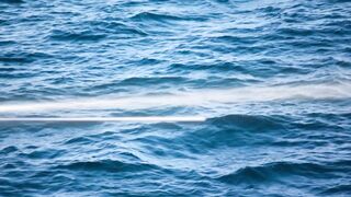 Los Sueños Marina: морская рыбалка на чартере и первый выход