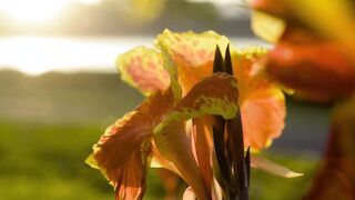 Los Sueños Marina: морская рыбалка на чартере и первый выход