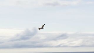 Los Sueños Marina: морская рыбалка на чартере и первый выход