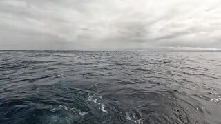 Quepos Costa Rica морская рыбалка в Пацифике на выезде в океан