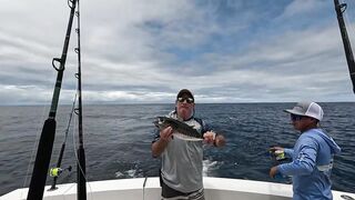 Quepos Costa Rica морская рыбалка в Пацифике на выезде в океан