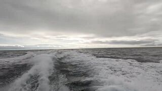 Quepos Costa Rica морская рыбалка в Пацифике на выезде в океан