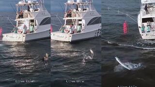 Quepos, Коста-Рика — морская рыбалка на парусника и правильный лидер