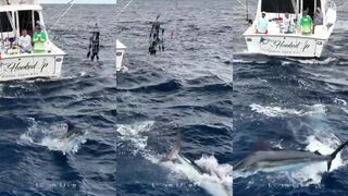 Quepos Costa Rica: морская рыбалка на блю марлина у дальних бровок