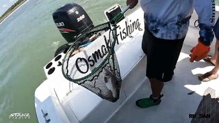 Costa Rica beach fishing: робало, готовим улов прямо на берегу