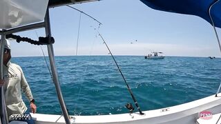 Costa Rica beach fishing: робало, готовим улов прямо на берегу