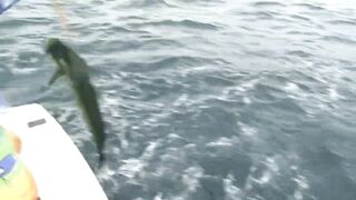 Mahi на борту Good Day морская рыбалка в Quepos и кулинария