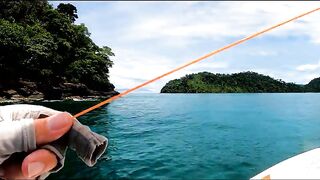 Langkawi paradise и серебристый на мушку, как идёт рыбалка?