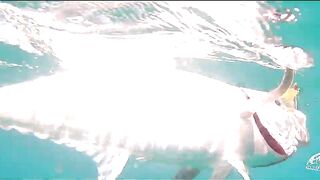 Langkawi paradise и серебристый на мушку, как идёт рыбалка?