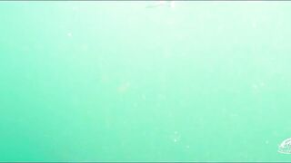 Langkawi paradise и серебристый на мушку, как идёт рыбалка?