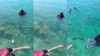 Maafushi Reef snorkeling и морская рыбалка на краю рифа?