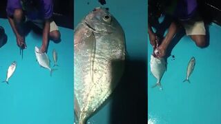 Где ловить в этом месте и какая рыбалка вообще работает по сезону