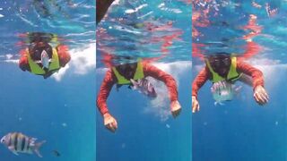 Maafushi underwater и где рядом морская рыбалка в штиль?