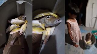 Maafushi Island и большой улов: морская рыбалка на рифах