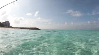 Maafushi home reef и морская рыбалка на краю рифа в 4K