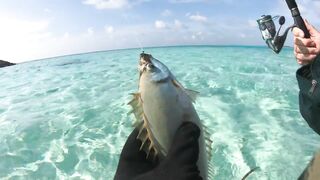 Maafushi home reef и морская рыбалка на краю рифа в 4K