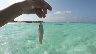 Maafushi home reef и морская рыбалка на краю рифа в 4K