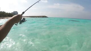 Maafushi home reef и морская рыбалка на краю рифа в 4K