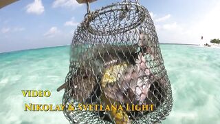 Maafushi home reef и морская рыбалка на краю рифа в 4K