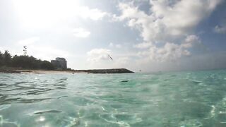 Maafushi home reef и морская рыбалка на краю рифа в 4K