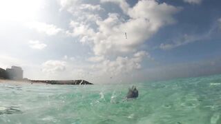 Maafushi home reef и морская рыбалка на краю рифа в 4K