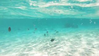 Maafushi home reef и морская рыбалка на краю рифа в 4K