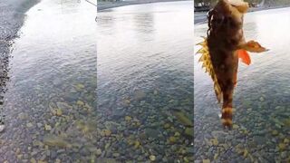 Морская рыбалка на Утрише по скорпене и морскому ёршу