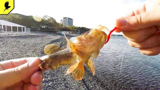 Где в Анапе клюёт лучше всего и что по рыбалке на Утрише?