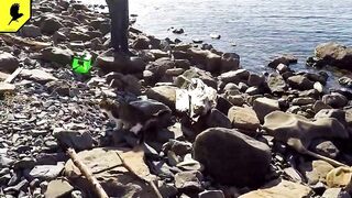 Где в Анапе клюёт лучше всего и что по рыбалке на Утрише?