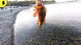 Где в Анапе клюёт лучше всего и что по рыбалке на Утрише?