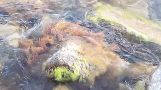 Анапа, Большой Утриш и море заповедник морская рыбалка без толпы