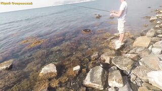 Большой Утриш сарган в сентябре морская рыбалка на лёгкие приманки