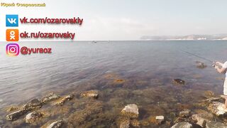 Большой Утриш сарган в сентябре морская рыбалка на лёгкие приманки