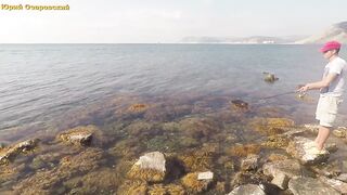 Большой Утриш сарган в сентябре морская рыбалка на лёгкие приманки