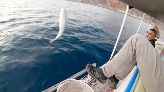 Лодочный выход в Аланье - морская рыбалка на волне 2023