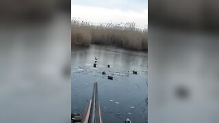 Лёд и чирок на озере: рыбалка или охота, что выберешь сегодня?